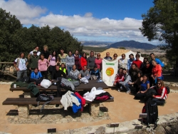 El papel de la Junta de Andalucía como parte de su actividad administrativa