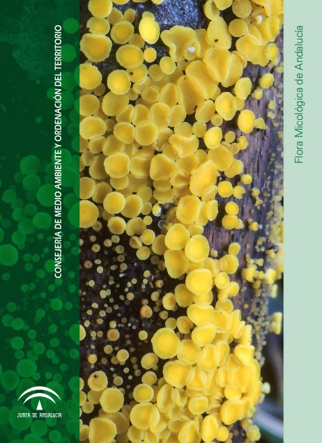 Portada Edición digital del libro 'Flora micológica de Andalucía'