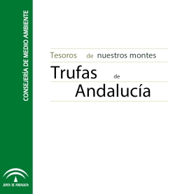 Portada de la publicación