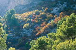 /medioambiente/portal/documents/20151/384296/img_doc_apro.jpg/40014e9c-4a4a-a2c4-f6de-1c68e8307e47?t=1511693629000 /medioambiente/portal/documents/20151/384296/img_doc_apro.jpg/40014e9c-4a4a-a2c4-f6de-1c68e8307e47?t=1511693629000