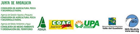 Montaje socios