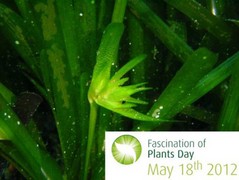 Felicidades Posidonia
