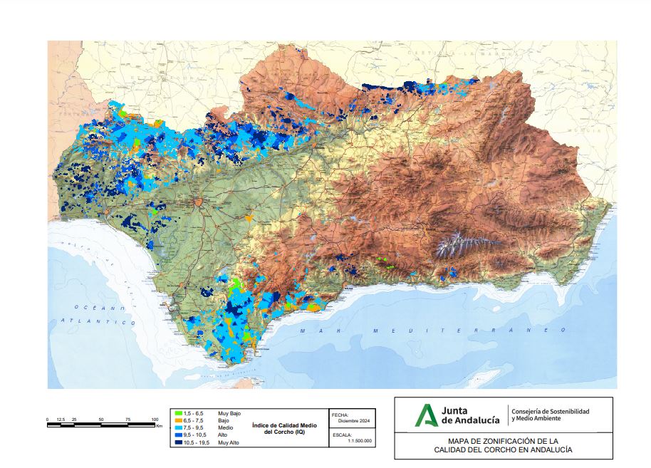 Mapa de Andalucía que muestra, en diferentes tonalidades, los distintos niveles de calidad del corcho en Andalucía.