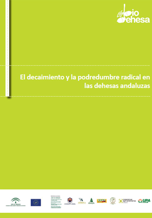 Portada documento