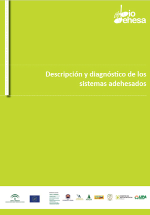 Portada publicación