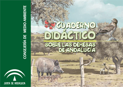 Portada de la publicación