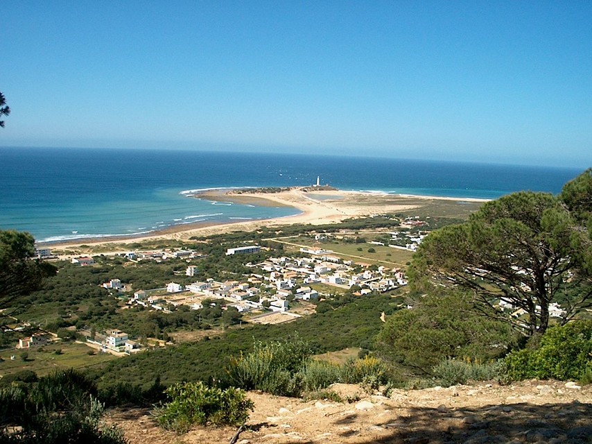 Ampliar imagen: foto desde una colina de árboles y vegetación con el mar al fondo y un trómbolo compuesto de arena en forma de flecha