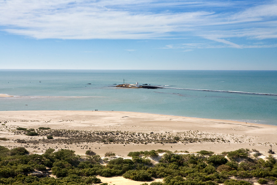 Ampliar imagen: Foto de una playa con arbustos en primer plano con arena color canela y mar al fondo y formación arenosa que penetra en el mar con forma de flecha