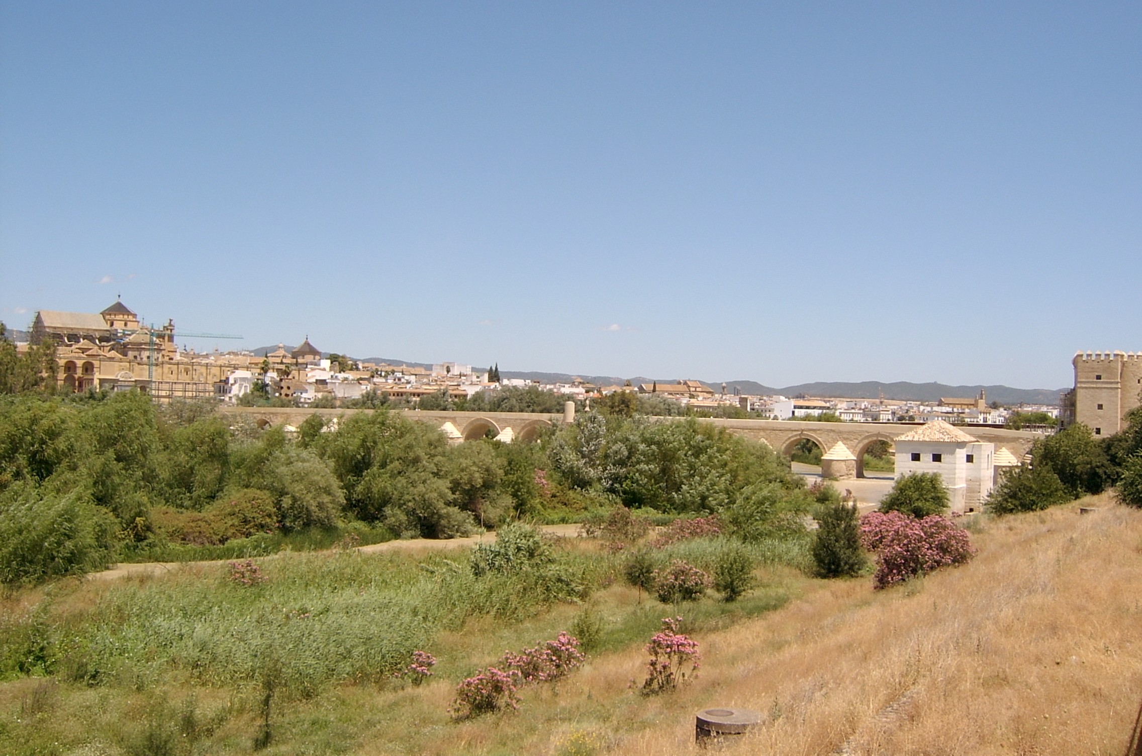 Ampliar imagen: fotografía donde se puede ver hierba algunas flores y árboles en el plano más cercano y al fondo la ciudad de Córdoba