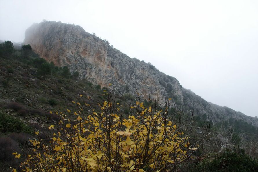 Ampliar imagen: Fotografía de árbol con ojas amarillas en primer plano, ladera con vegetación en plano medio y al fondo una gran formación rocosa de color gris y marrón con cielo nublado