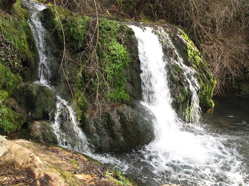 Ampliar imagen: cascada con vegetación sobre las rocas