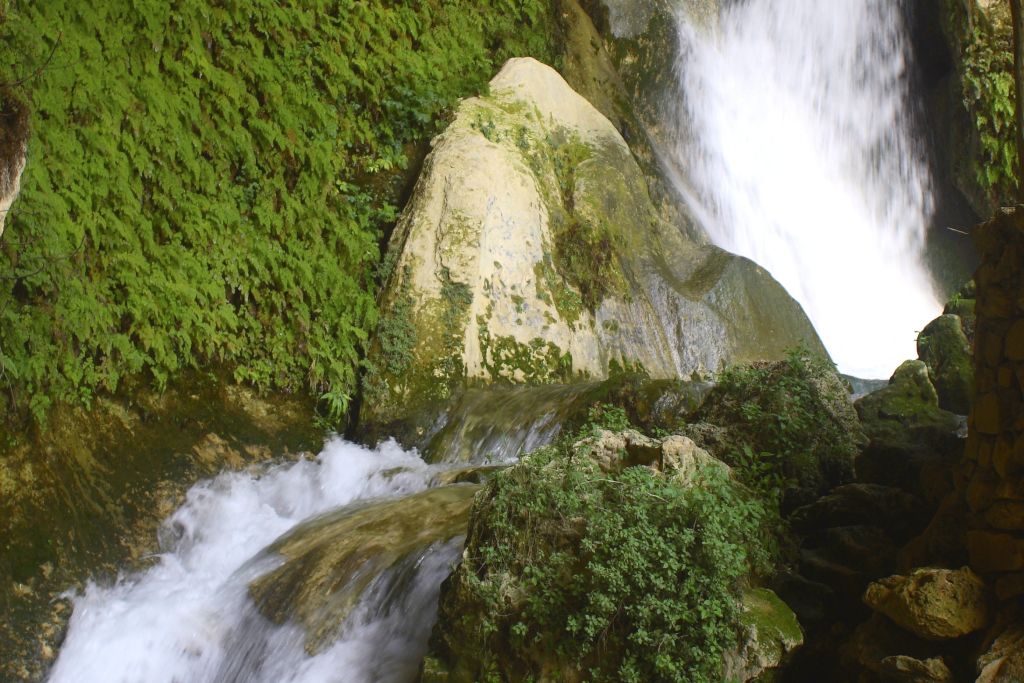 Ampliar imagen: Foto de una pequeña cascada  sobre roca cubierta de vegetación