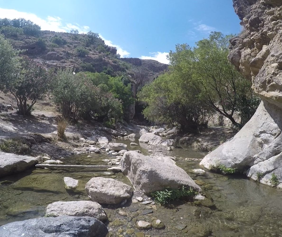 Ampliar imagen: fotografía de un pequeño río en una garganta de roca con árboles en ambas orillas, fresnos, álamos, sauces...