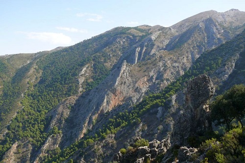 Montañas cubiertas de vegetación con cielo azul