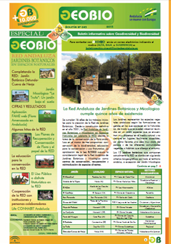 Portada boletín