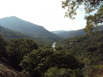 Planes de Gestión Integral de Montes Públicos