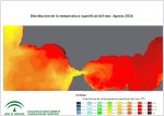 Temperatura superficial del mar (SST). Agosto 2016