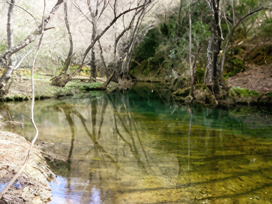 Agua cristalina en un recodo poco profundo del río