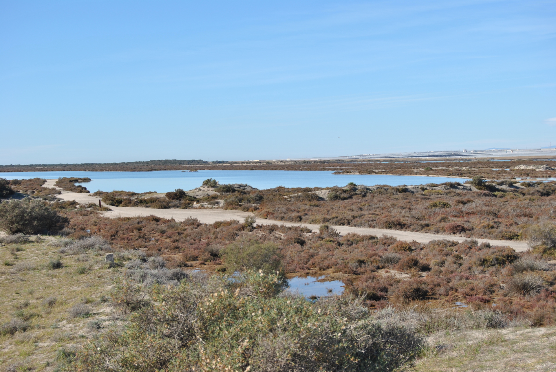 Punta Entinas-Sabinar