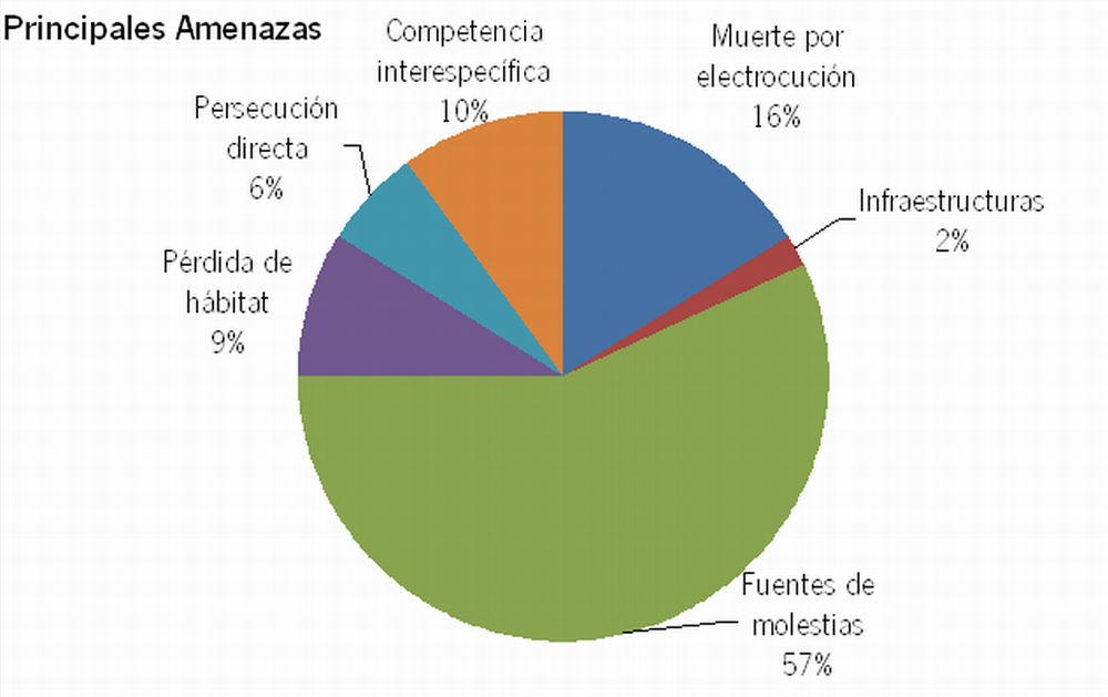 Imagen ampliable