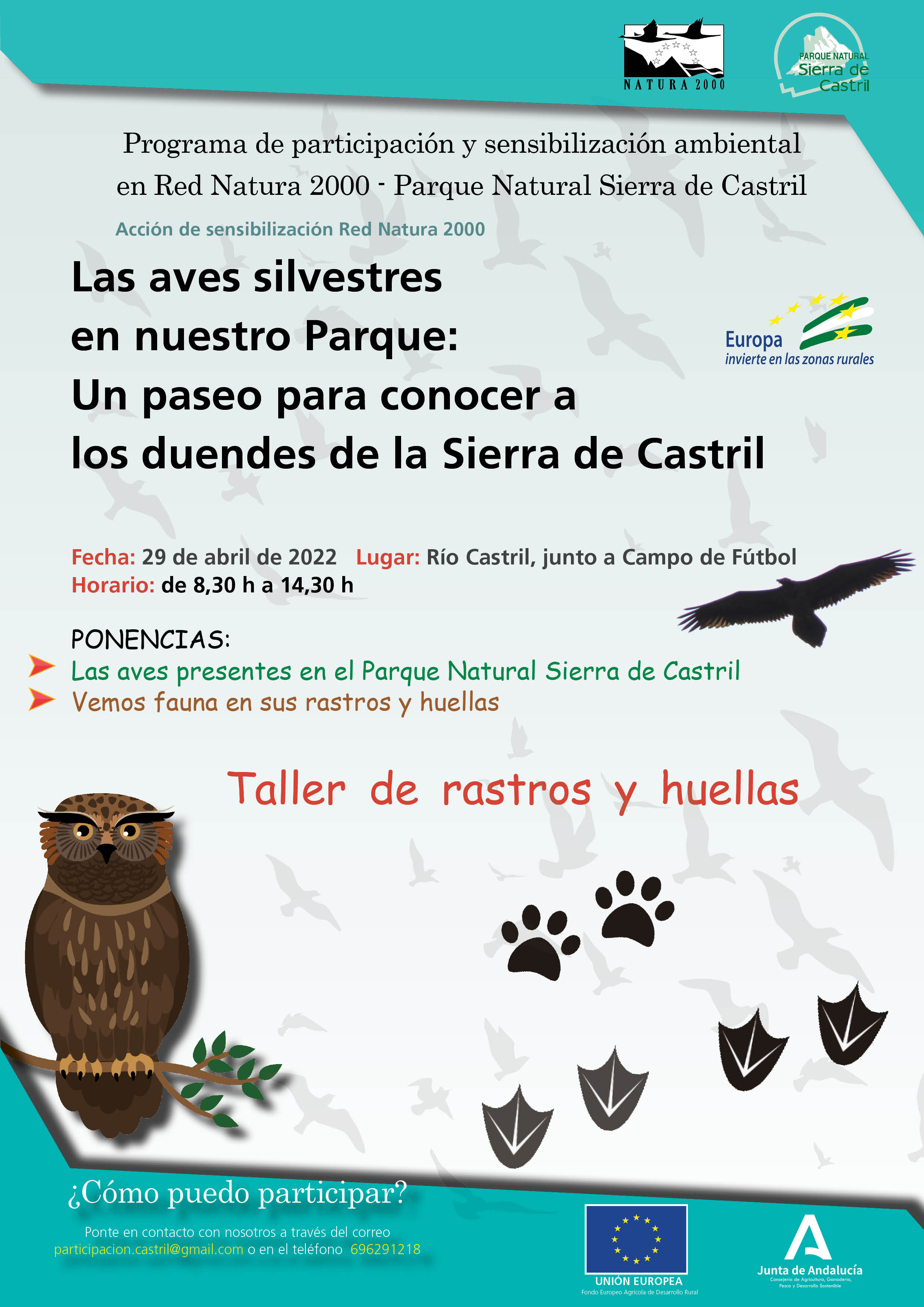Imagen ilustrativa del cartel publicitario de la actividad