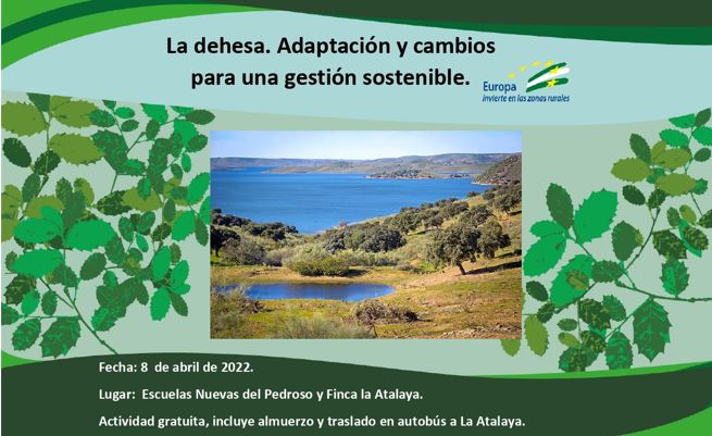 Cartel de la jornada