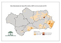 Intensidad de la sequía pluviométrica