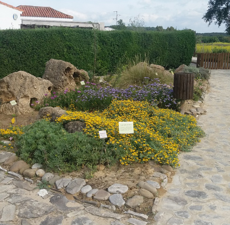 Abrir ficha de la imagen. Jardín Botánico 'El Aljibe': Rocallas 1