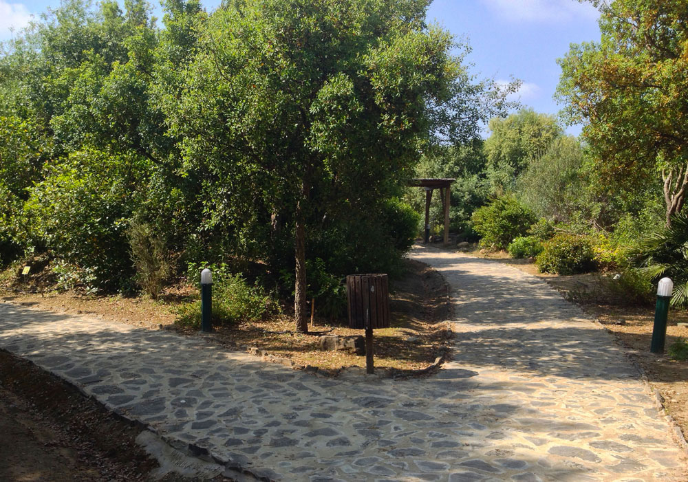 Abrir ficha de la imagen. Jardín Botánico 'El Aljibe': Paseos
