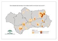 Intensidad de la sequía pluviométrica