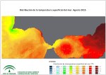 Temperatura superficial del mar (SST). Agosto 2015