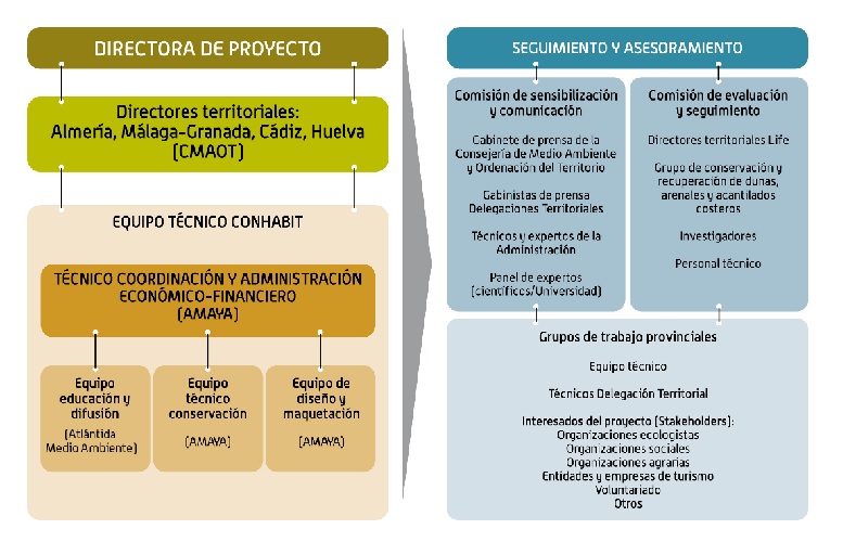 organigrama