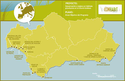 Ámbito del proyecto