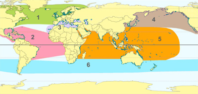  Regiones de distribución de las plantas marinas 