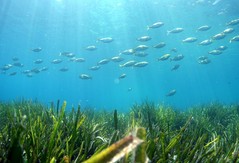 El miércoles comienza la gira por mar y tierra