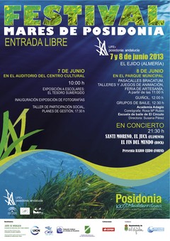 Cartel