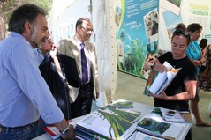 LIFE+posidonia pone en valor la última pradera de “posidonia oceanica