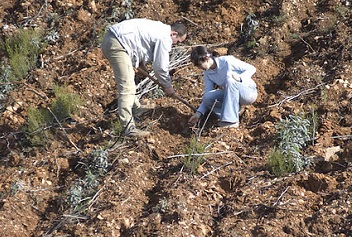 /medioambiente/portal/documents/20151/42336547/Restauracion_forestal_destacados.jpg/e6b49294-70f2-7946-ed3b-cd96a078f74d?t=1649397592325