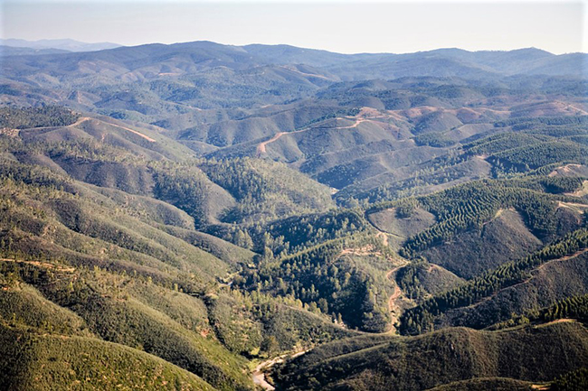 Ampliar imagen: vista aerea de zona montañosa de altitud media donde se observa abundante vegetación