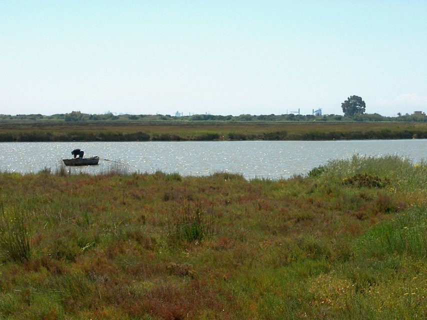 Ampliar imagen: persona navegando en barquita en un canal del Paraje Natural Marismas del Río Palmones