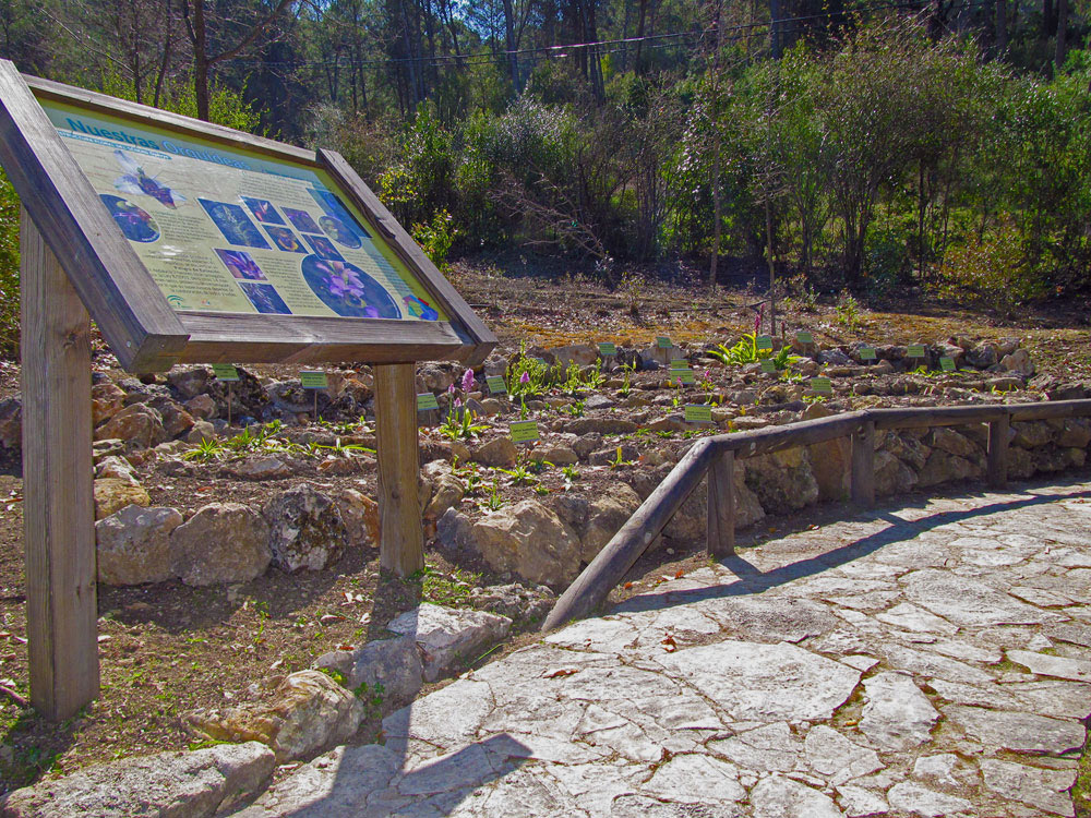 Abrir ficha de la imagen. Jardín Botánico 'El Castillejo': Rincon-Orquideas