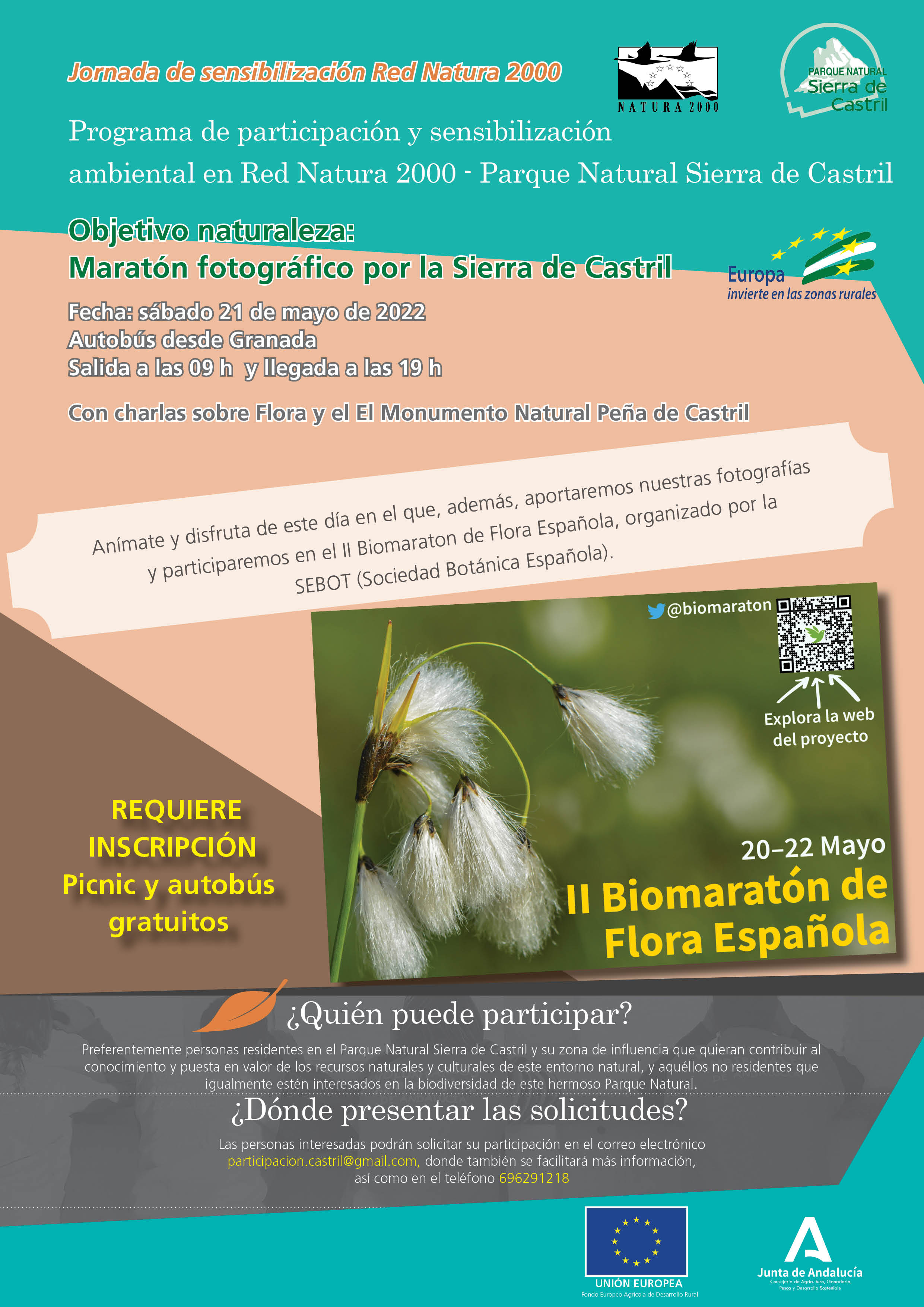 Imagen ilustrativa del cartel publicitario de la actividad