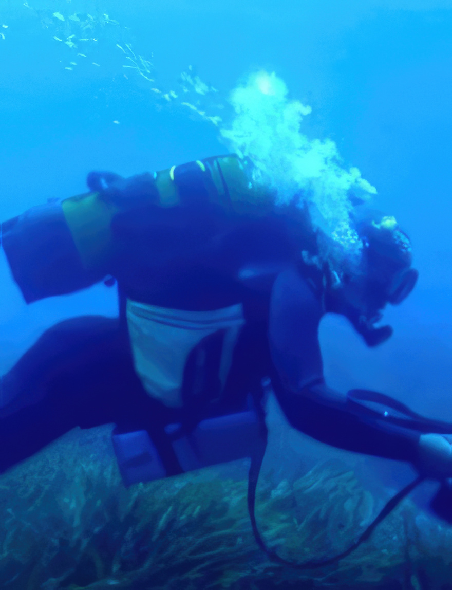 Buzo en el fondo marino, con pradera de posidonia