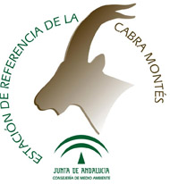 Red Andaluza de Estaciones de Referencia