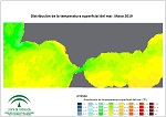 Temperatura superficial del mar (SST). Mayo 2019