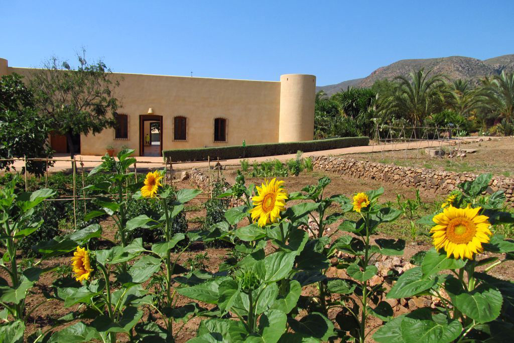 Abrir ficha de la imagen. Jardín Botánico 'El Albardinal': Huerto 1