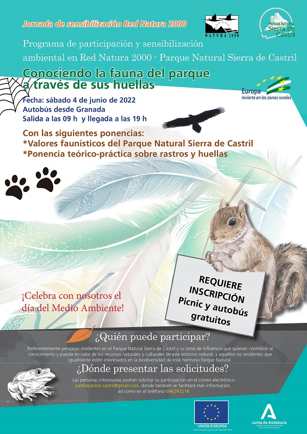 Cartel de la actividad