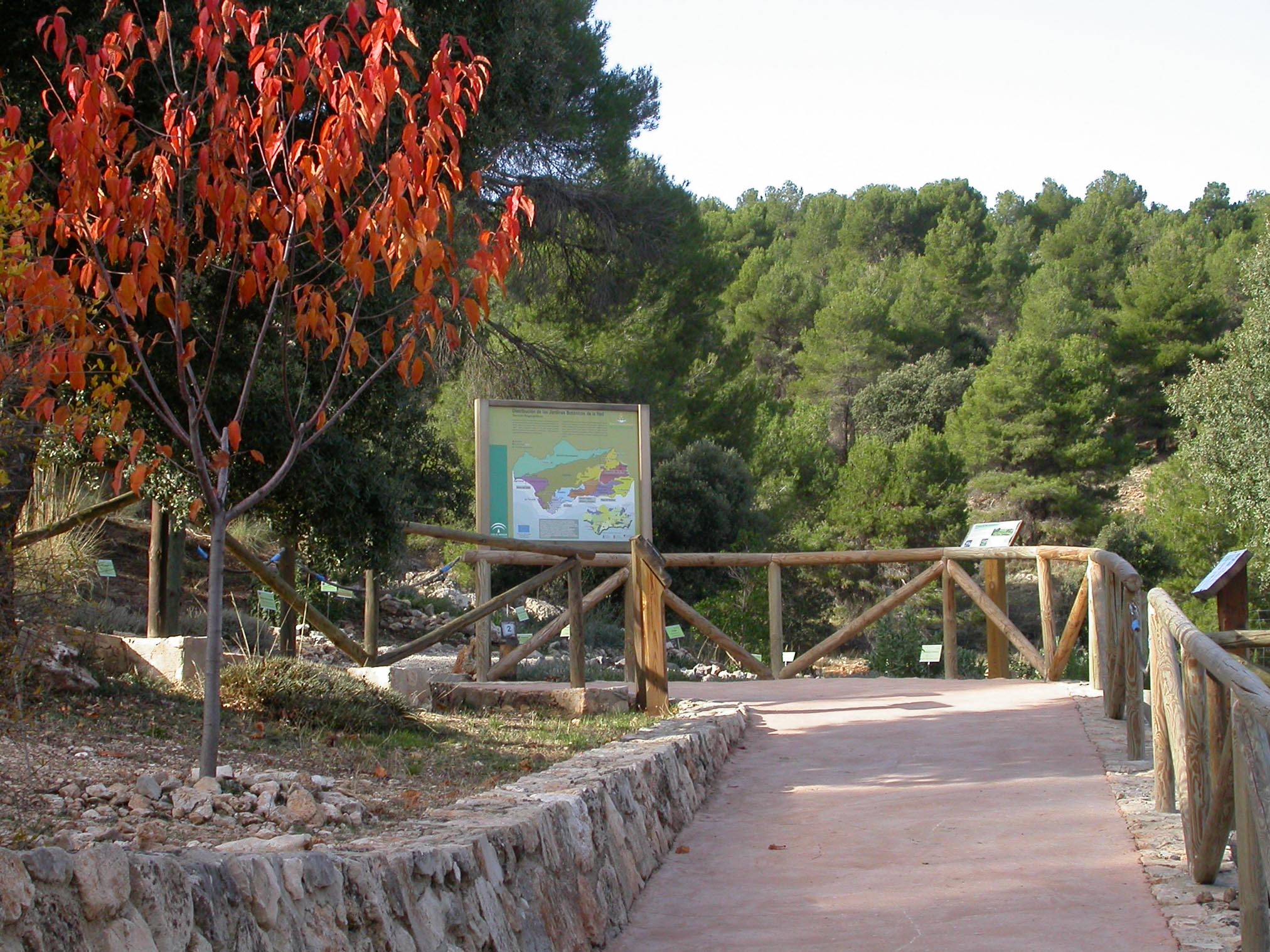 Abrir ficha de la imagen. Jardín Botánico 'Umbría de la Virgen': Acceso
