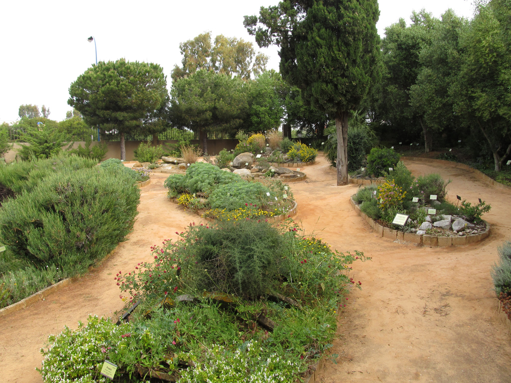 Abrir ficha de la imagen. Jardín Botánico 'San Fernando': Rocalla de solana