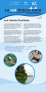 Panel 6. Los tramos fluviales